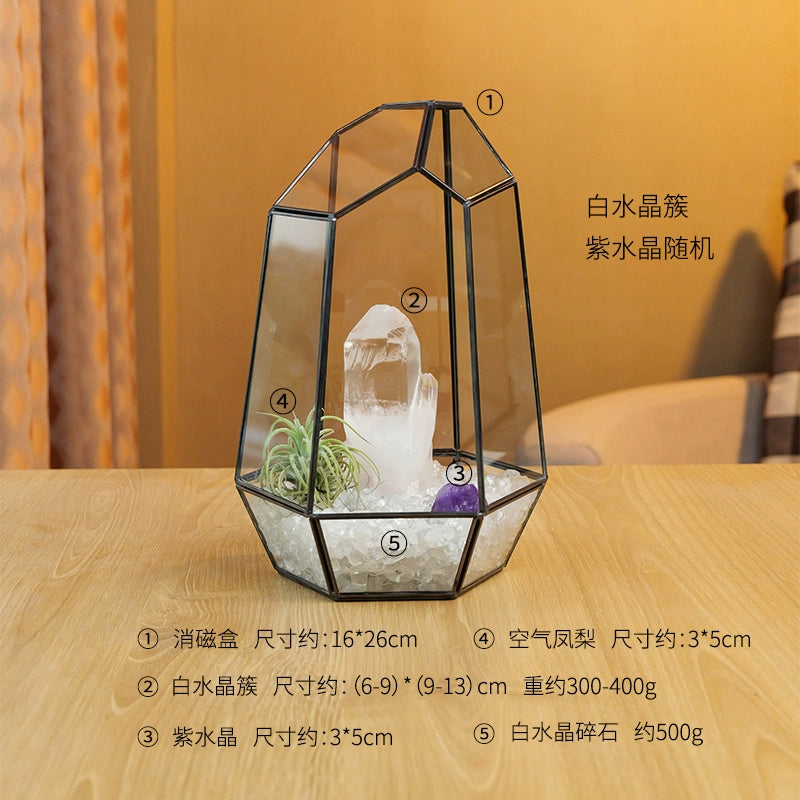 天然水晶碎石微景观生态消磁碗水晶簇空气凤梨原石首饰盒家居摆件