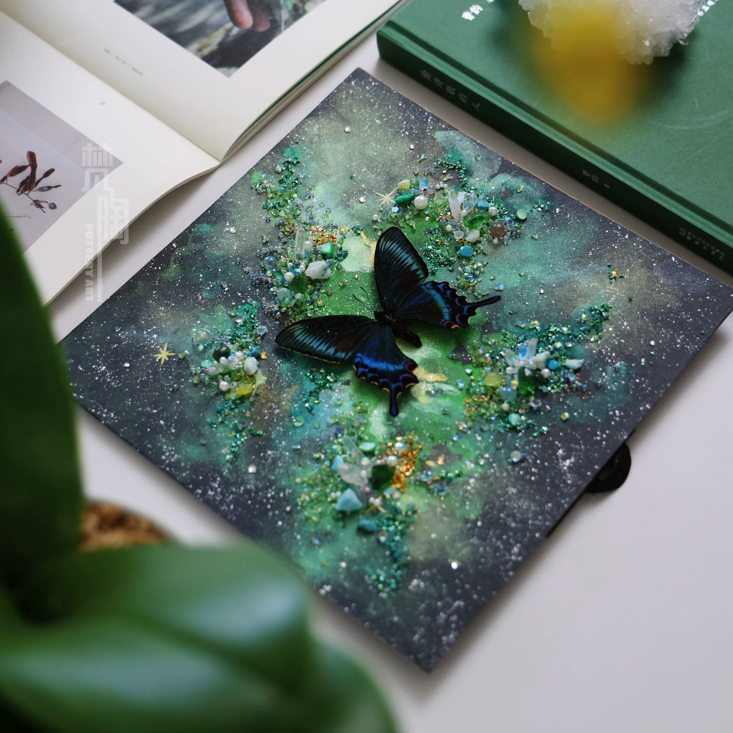 真蝴蝶标本绿色星云宇宙浪漫家居装饰画创意礼物小众闺蜜生日礼物