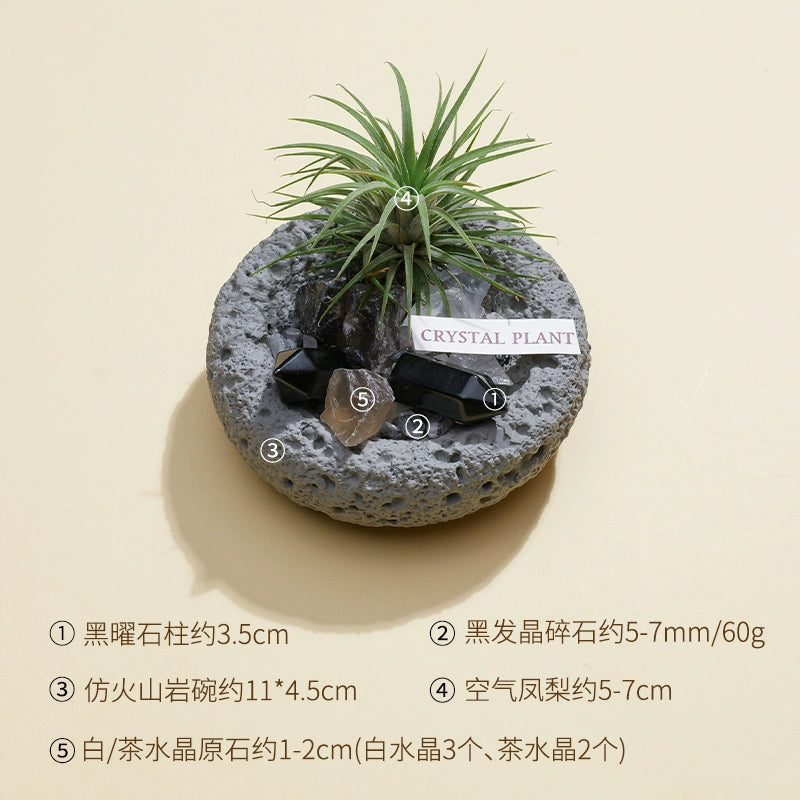 天然水晶黑曜石碧玺扩香石微景观家用室内桌面装饰品空气凤梨摆件