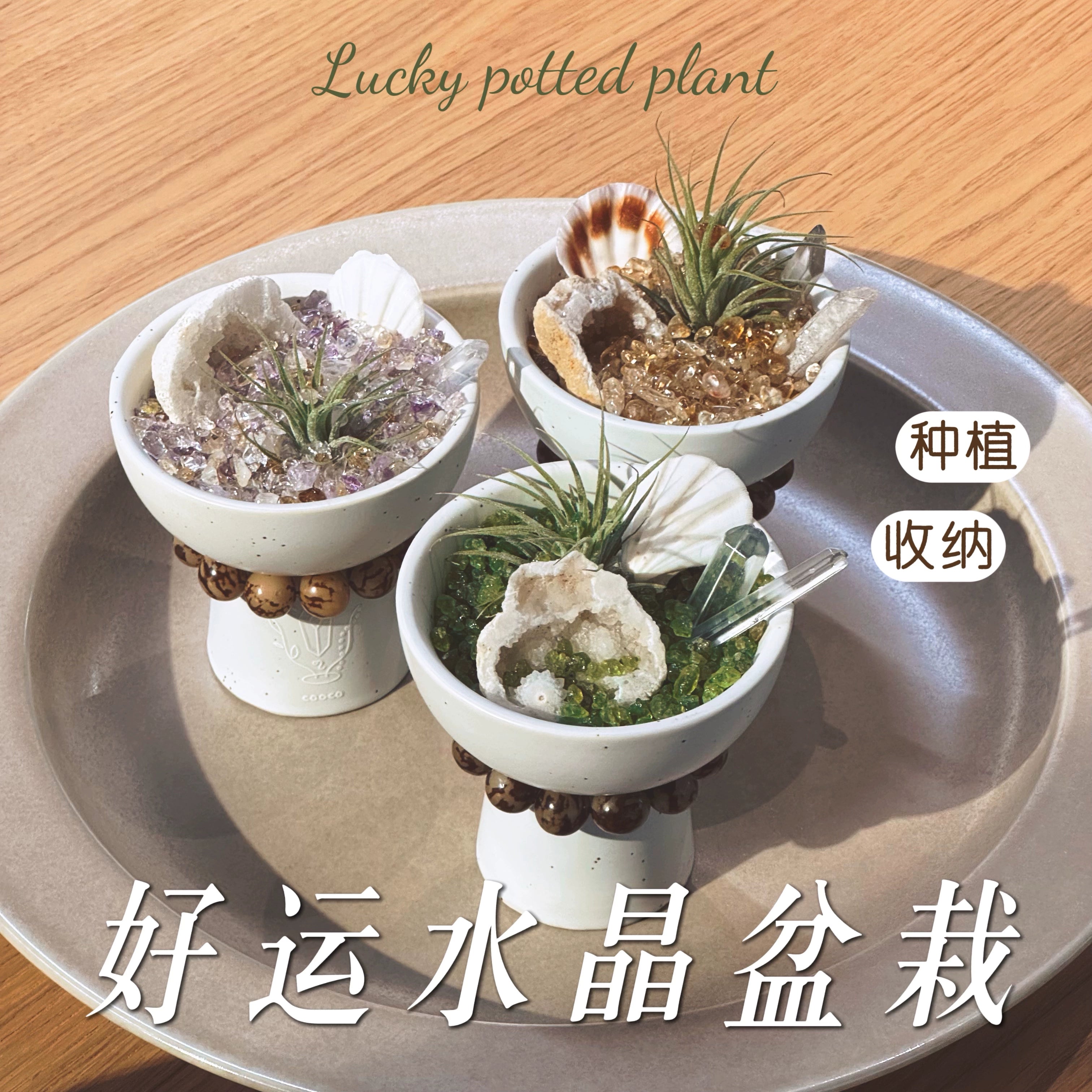 cooco万物有灵 天然水晶盆栽入户玄关办公室收银台招财摆件送礼物