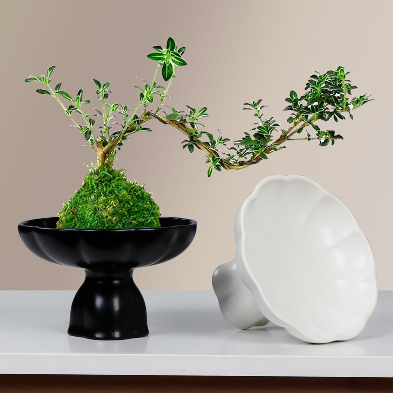 米竹水培花盆陶瓷花瓣苔藓球花盆客厅桌面绿植菖蒲摆件盆景干果盘