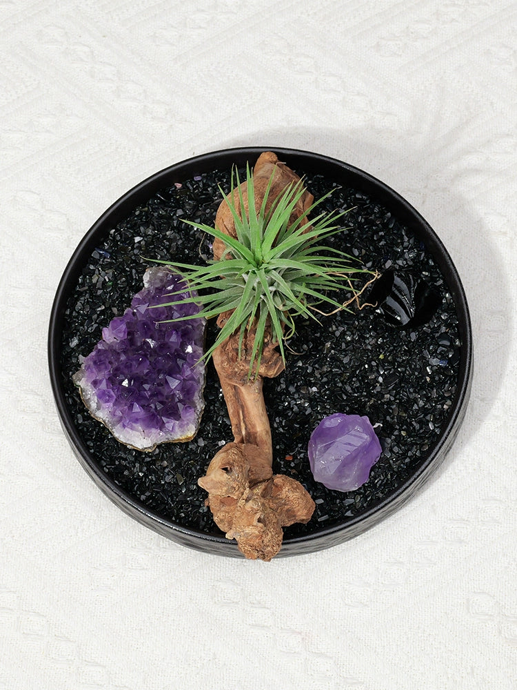 天然水晶原石微景观空气凤梨风化木绿植家居酒店桌面造景水晶摆件