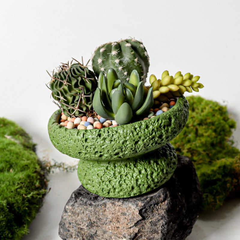 红精灵凤梨趣味盆景苔藓球托盘花盆客厅办公室桌面多肉仙人掌盆栽