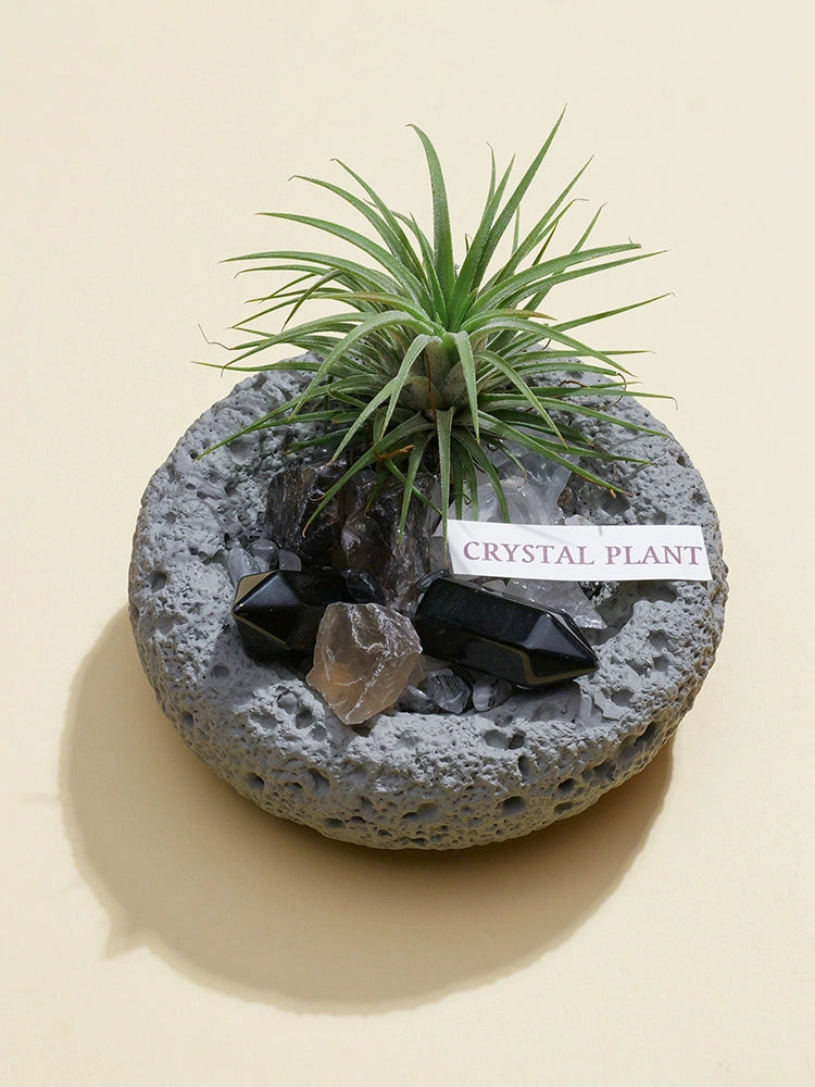 天然水晶微景观水晶柱原石碎石空气凤梨办公室桌面扩香石盆栽摆件