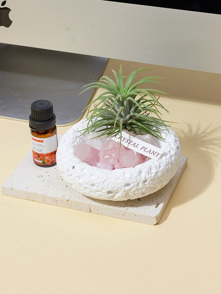 天然水晶微景观水晶柱原石碎石空气凤梨办公室桌面扩香石盆栽摆件