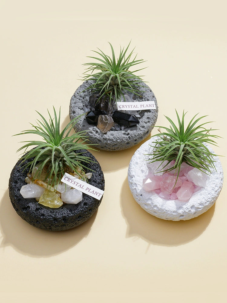 天然水晶微景观水晶柱原石碎石空气凤梨办公室桌面扩香石盆栽摆件