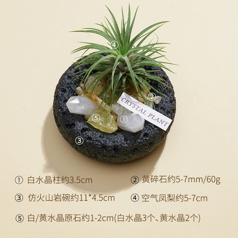 天然水晶黑曜石碧玺扩香石微景观家用室内桌面装饰品空气凤梨摆件