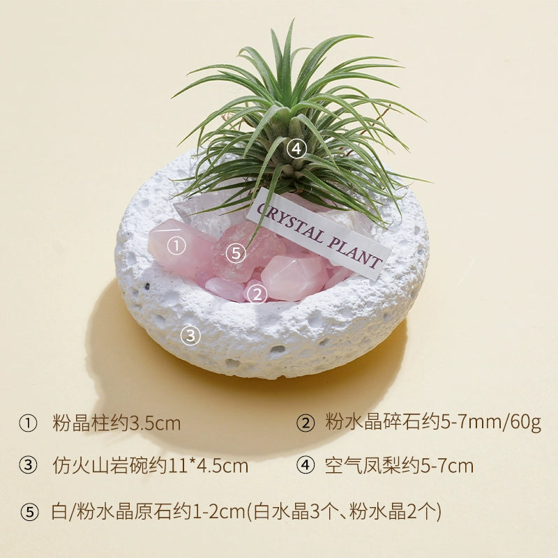 天然水晶黑曜石碧玺扩香石微景观家用室内桌面装饰品空气凤梨摆件