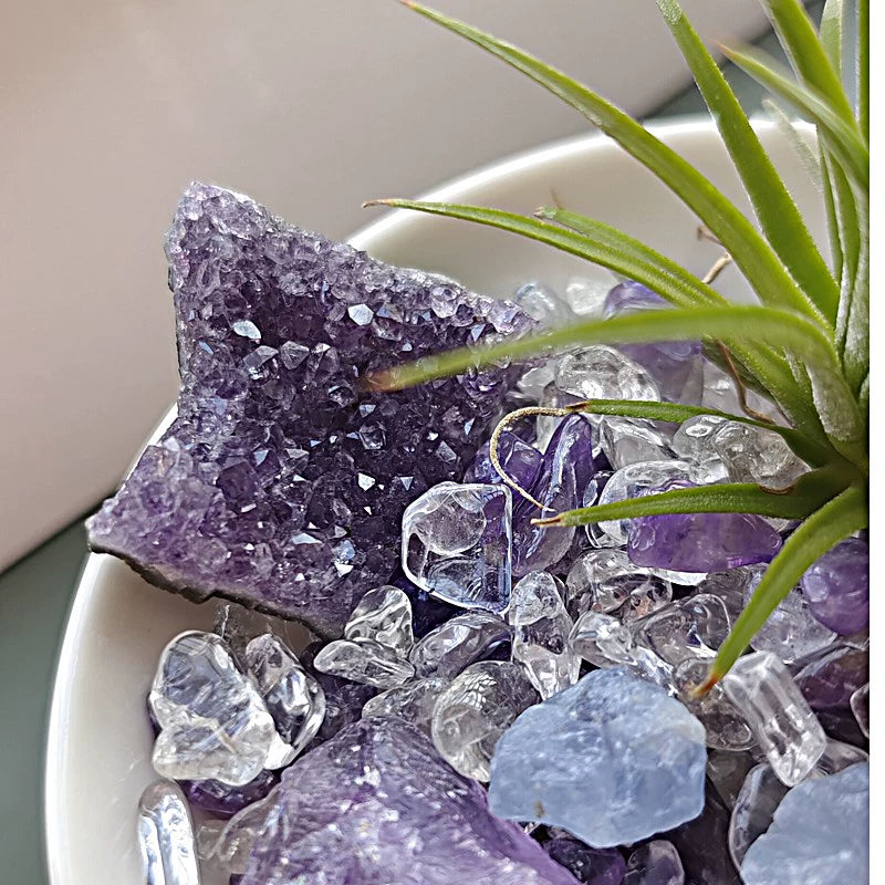 优品盆栽l 能量水晶o小盆栽/水晶盆景/工位搭档家居办公玄关摆.