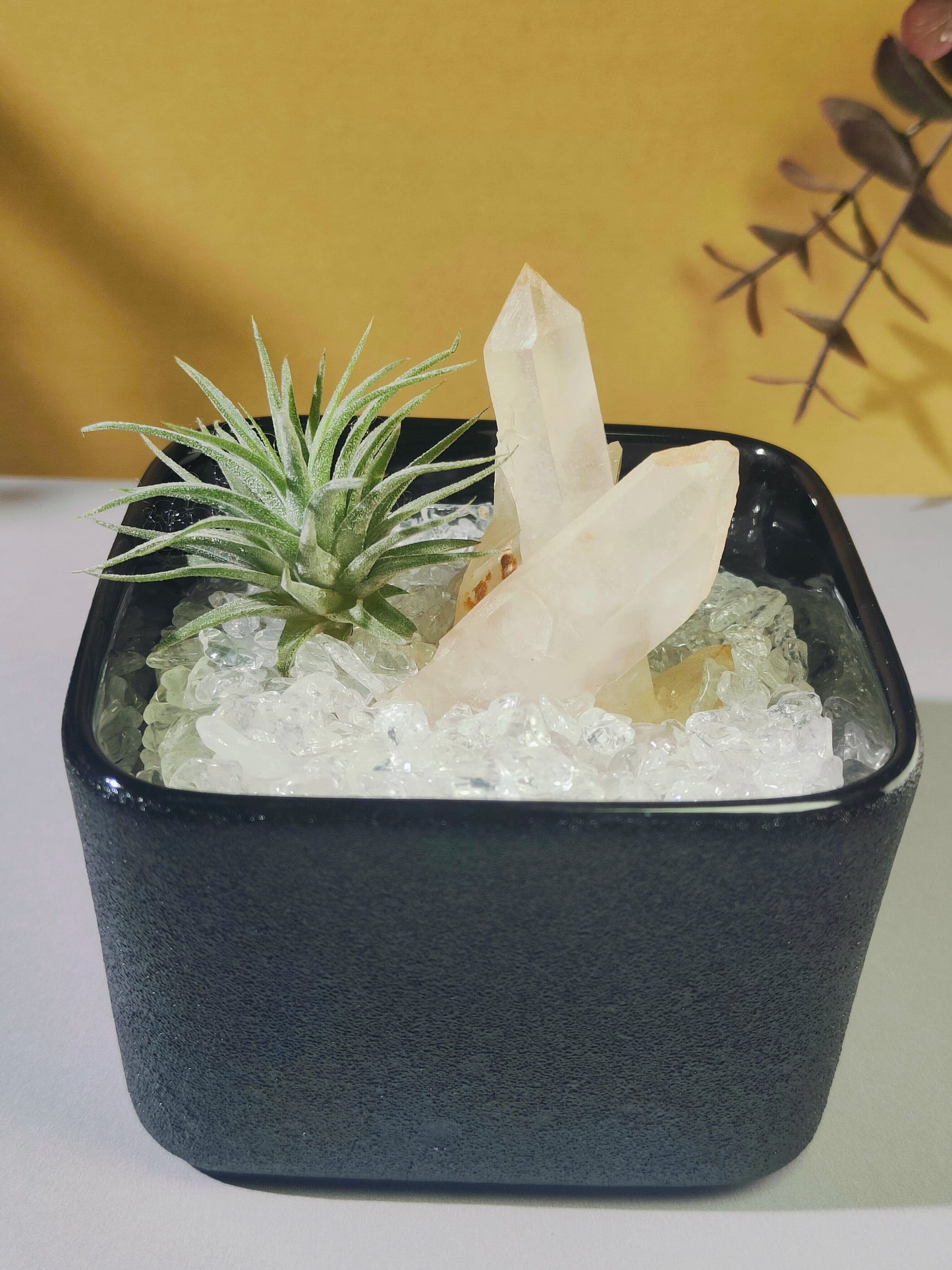 天然白水晶簇原矿消磁标本矿标净化高级造景礼品家居办公盆景摆件