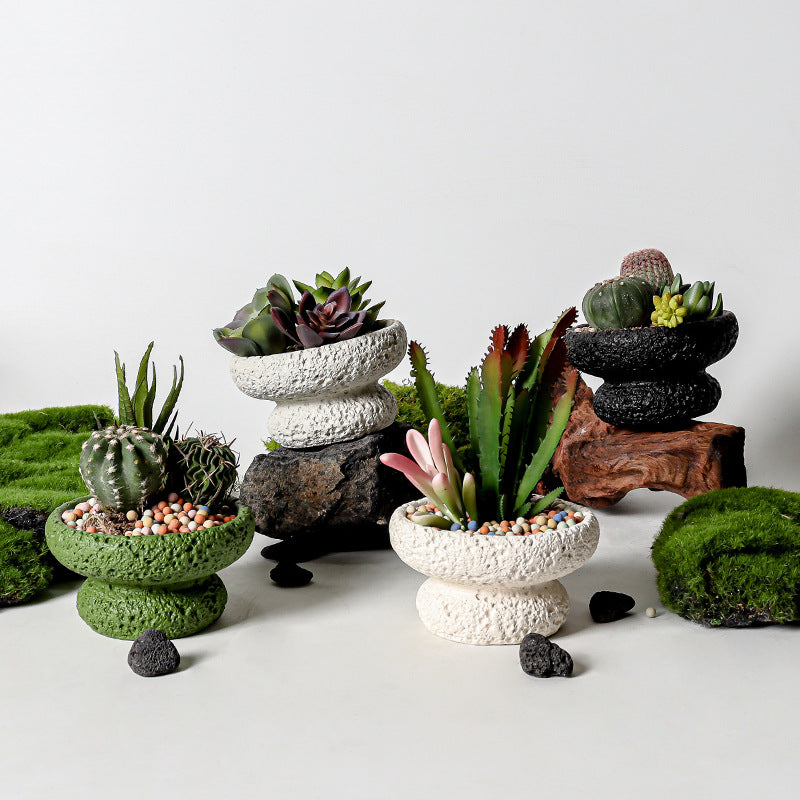 红精灵凤梨趣味盆景苔藓球托盘花盆客厅办公室桌面多肉仙人掌盆栽