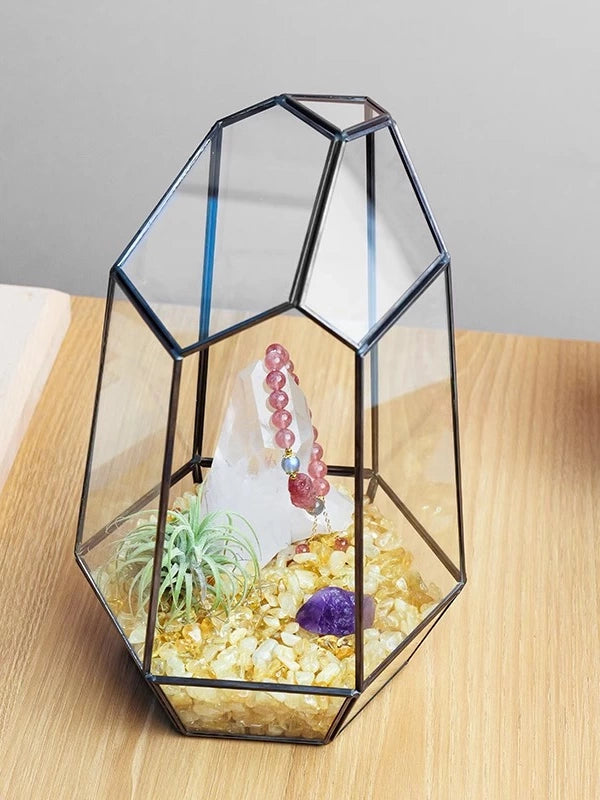 天然水晶碎石微景观生态消磁碗水晶簇空气凤梨原石首饰盒家居摆件