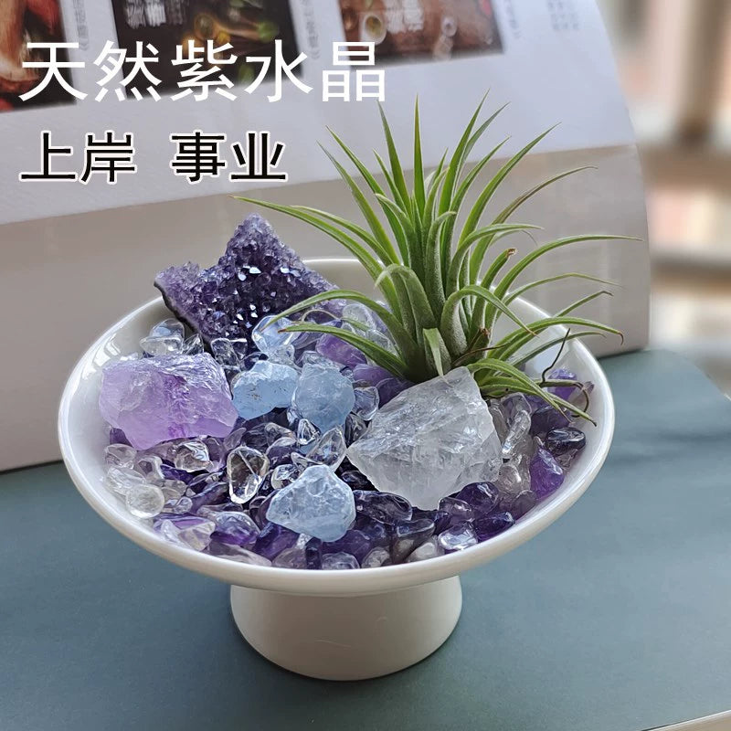 优品盆栽l 能量水晶o小盆栽/水晶盆景/工位搭档家居办公玄关摆.