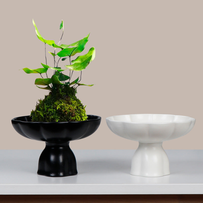 米竹水培花盆陶瓷花瓣苔藓球花盆客厅桌面绿植菖蒲摆件盆景干果盘