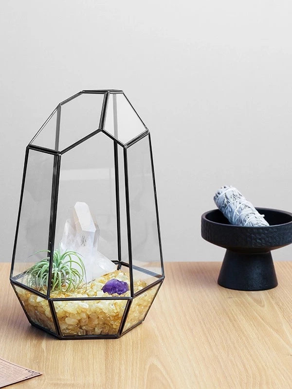 天然水晶碎石微景观生态消磁碗水晶簇空气凤梨原石首饰盒家居摆件