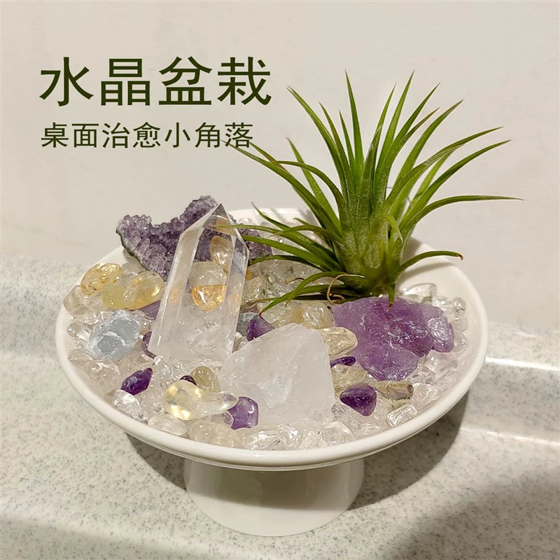 优品盆栽l 能量水晶o小盆栽/水晶盆景/工位搭档家居办公玄关摆.
