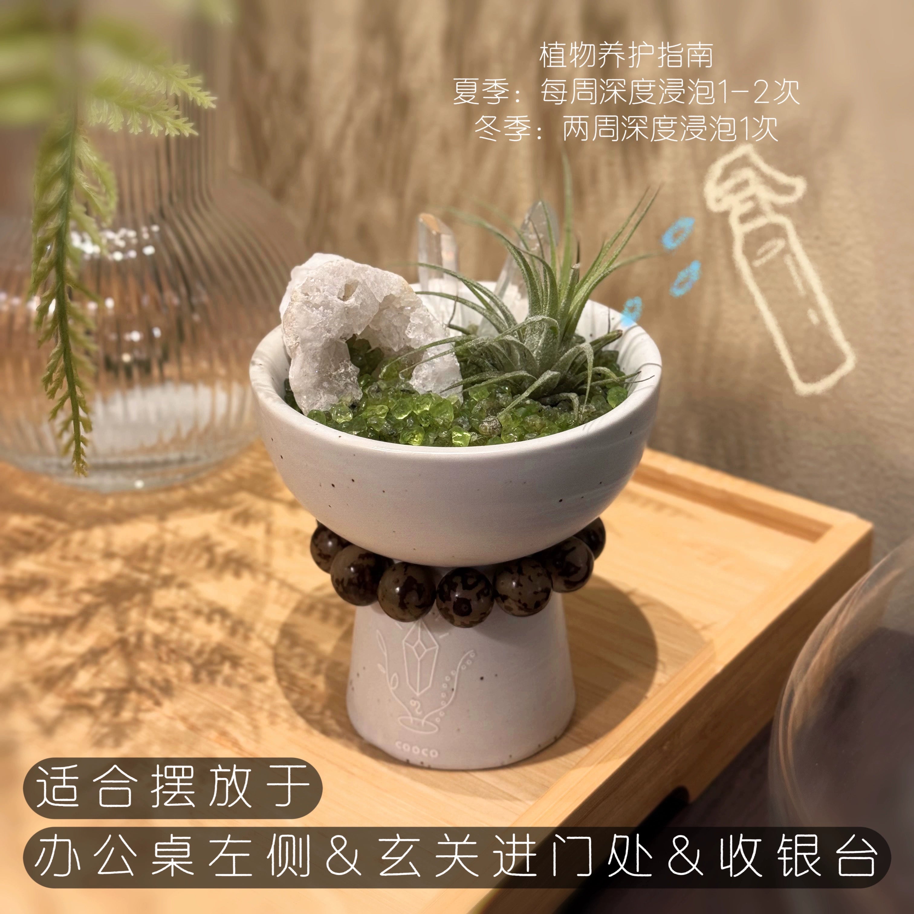 cooco万物有灵 天然水晶盆栽入户玄关办公室收银台招财摆件送礼物