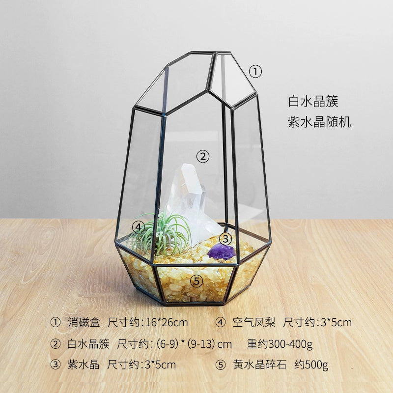 天然水晶碎石微景观生态消磁碗水晶簇空气凤梨原石首饰盒家居摆件