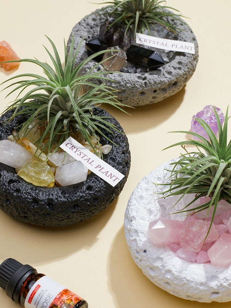 天然水晶微景观水晶柱原石碎石空气凤梨办公室桌面扩香石盆栽摆件