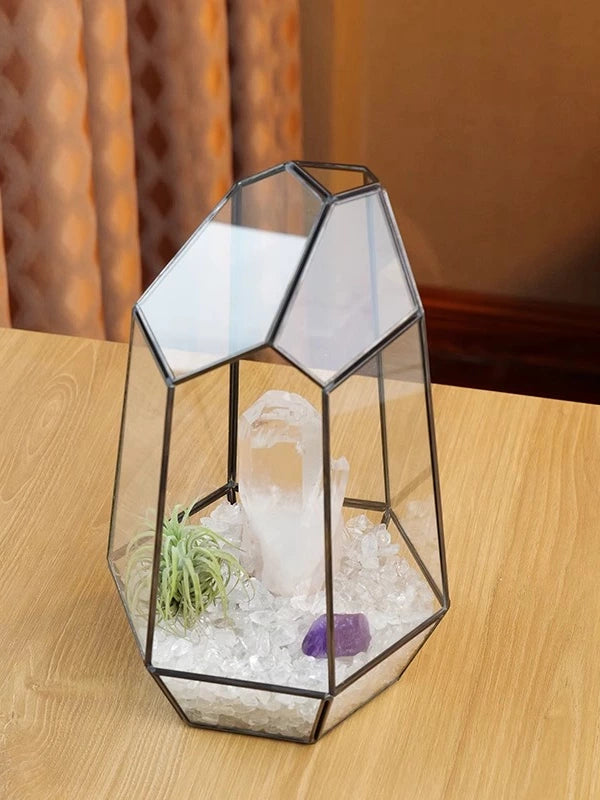 天然水晶碎石微景观生态消磁碗水晶簇空气凤梨原石首饰盒家居摆件