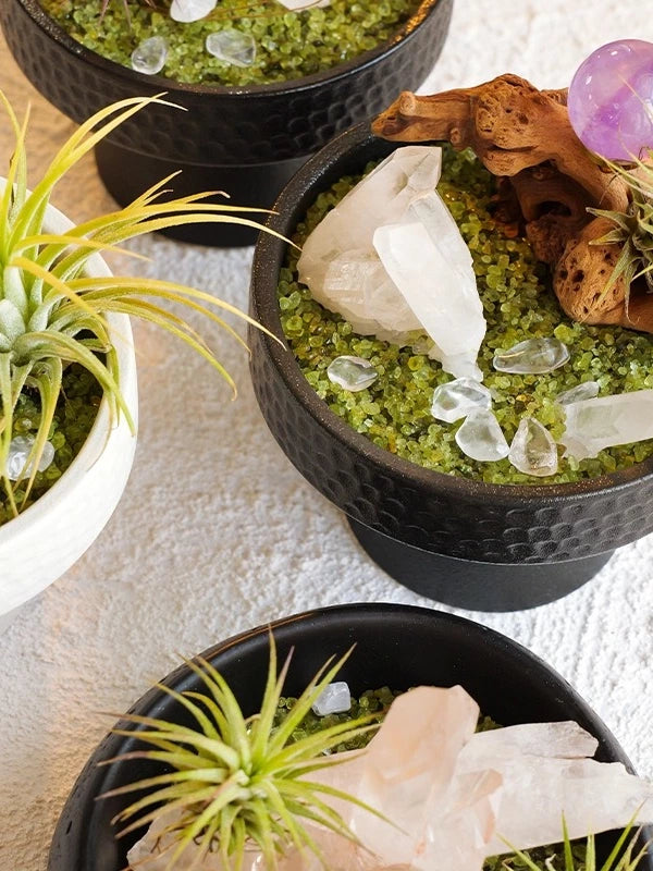 天然水晶原石矿石扩香石微景观空气凤梨风化木橄榄石碎石绿植摆件