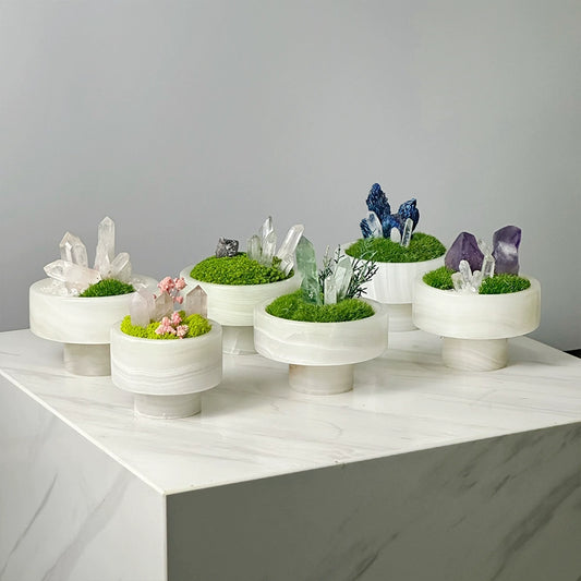 永生苔藓微景观新中式天然玉石盆景售楼处桌面装饰品创意绿植摆件