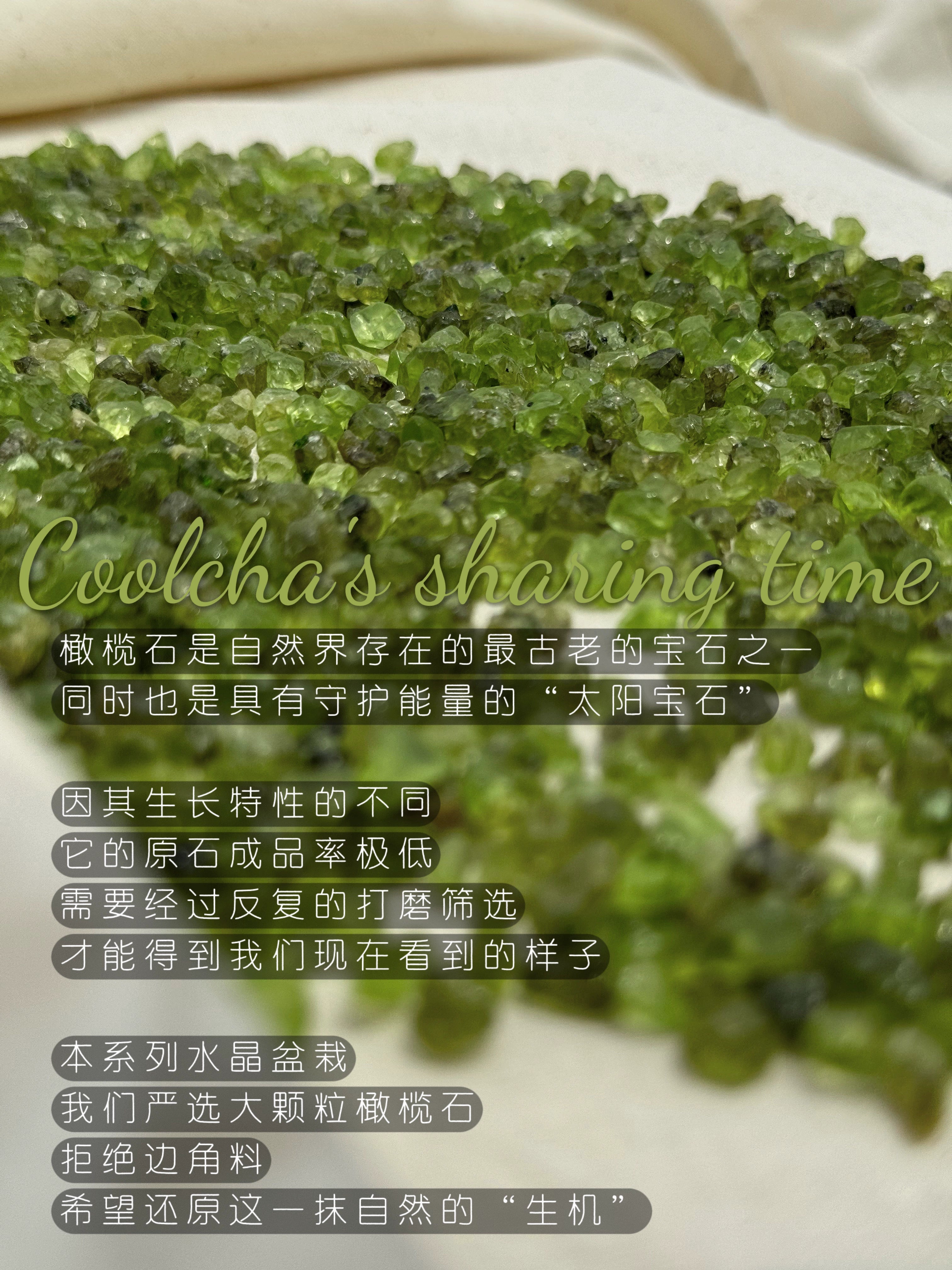 cooco万物有灵 天然水晶盆栽入户玄关办公室收银台招财摆件送礼物
