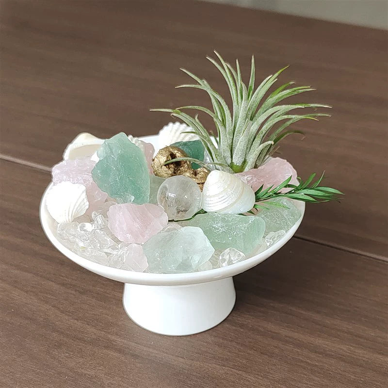 优品盆栽l 能量水晶o小盆栽/水晶盆景/工位搭档家居办公玄关摆.