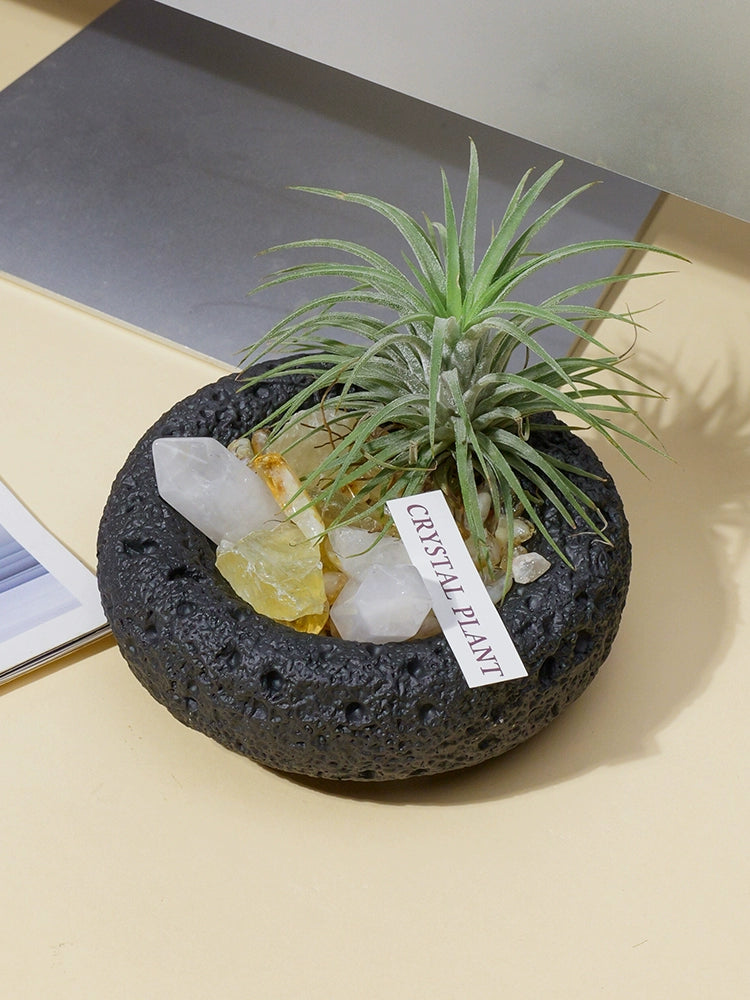 天然水晶微景观水晶柱原石碎石空气凤梨办公室桌面扩香石盆栽摆件
